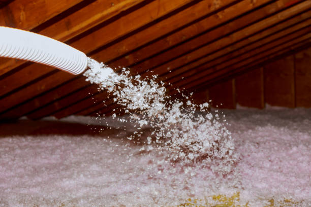 Best Blown-in Insulation in Conesus Lake, NY