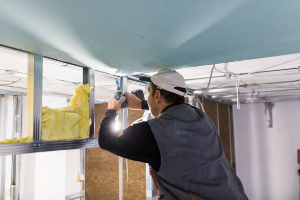 Best Residential Insulation in Conesus Lake, NY