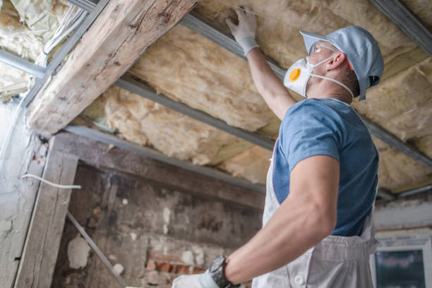 Best Insulation Maintenance and Repair in Conesus Lake, NY