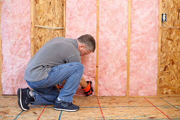 Best Eco-Friendly Insulation in Conesus Lake, NY