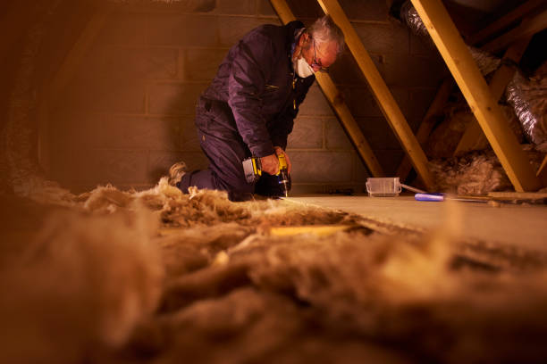 Best Geographic-Specific Insulation Services in Conesus Lake, NY